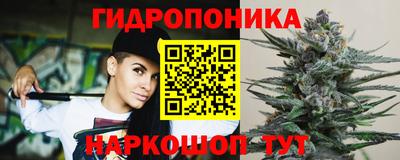 дмт Малгобек