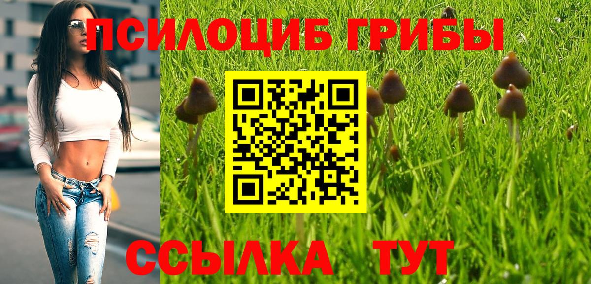 Владивосток  купить наркотик  Вход с VPN  Псилоцибиновые грибы GOLDEN TEACHER 