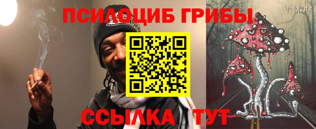 Галлюциногенные грибы прущие грибы Владивосток